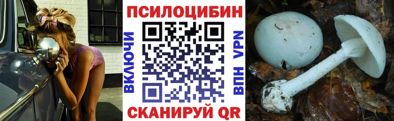 Галлюциногенные грибы GOLDEN TEACHER  Кадников 