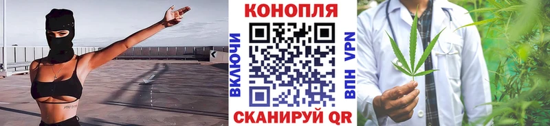 OMG зеркало  Кадников  Марихуана конопля 